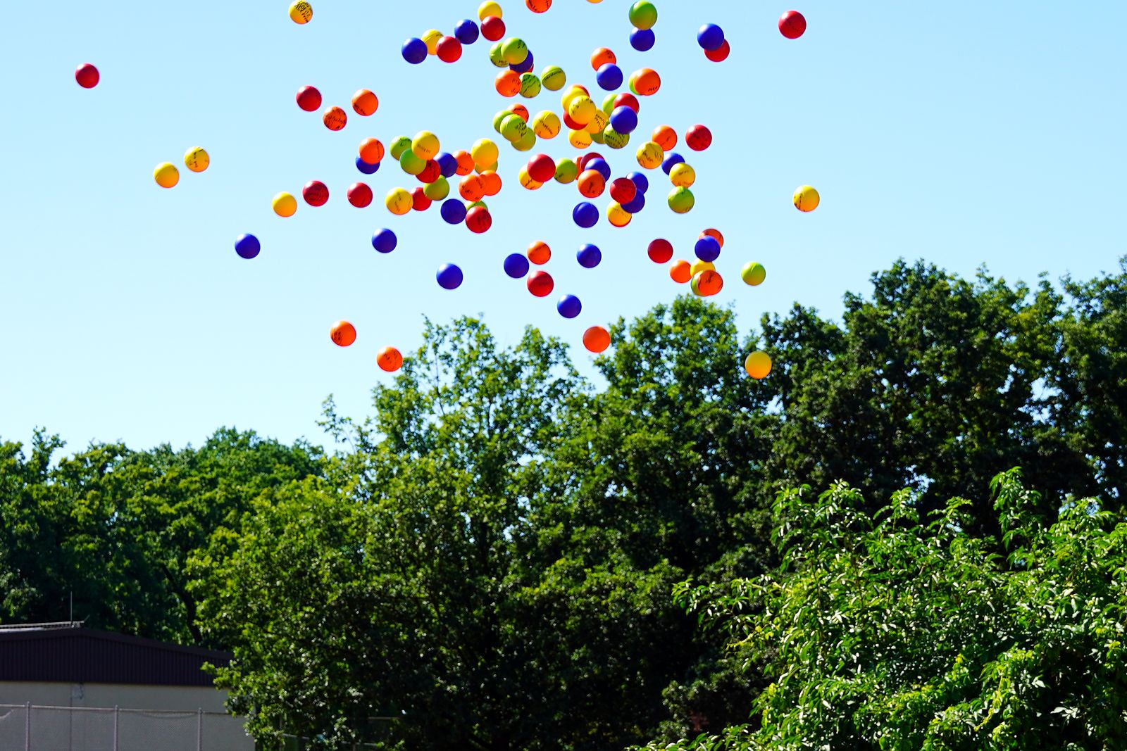 Bunte Bälle fliegen vor blauem Himmel über die Bäume am Sportplatz. Auf die Bälle haben die neuen Fünftklässler ihre Wünsche für die Schulzeit geschrieben.
